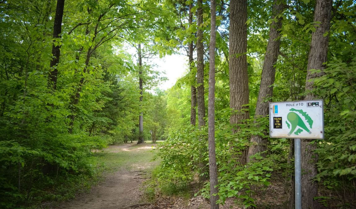 cornwallis road park photo 1