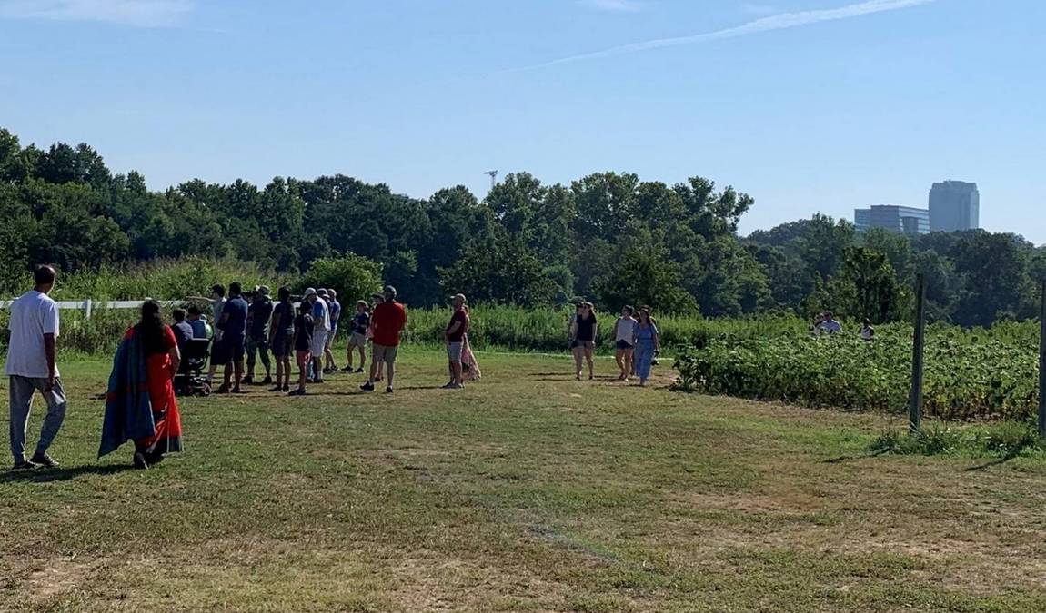 dorothea dix park photo 7