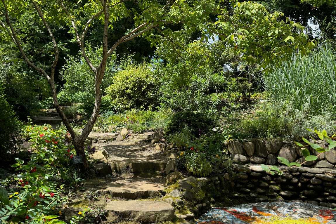 unc charlotte botanical gardens photo 6