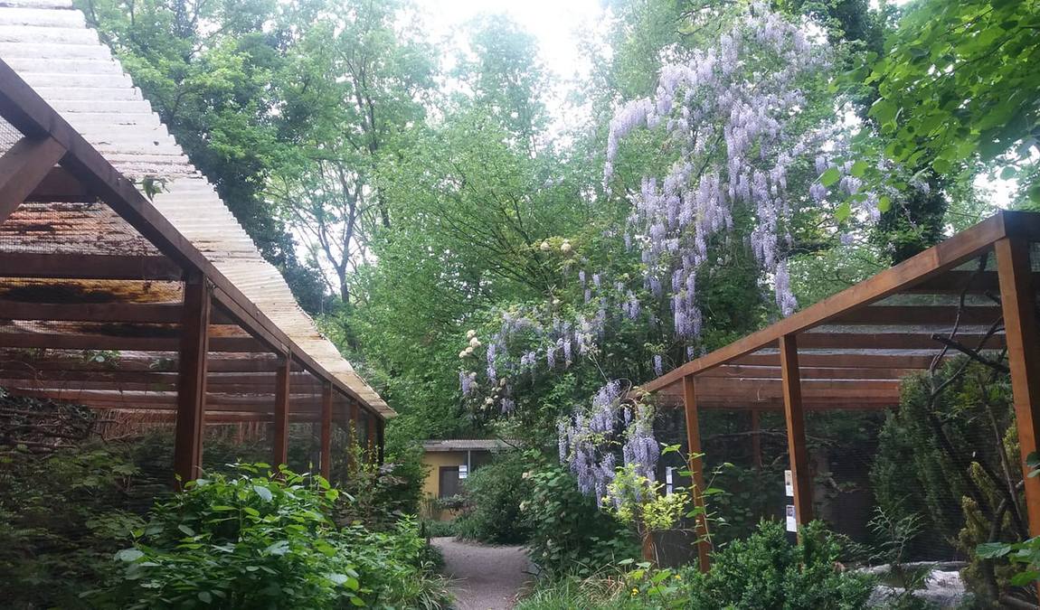 olching bird park photo 2