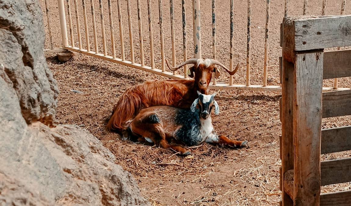 ecological farm finca el carretón photo 1