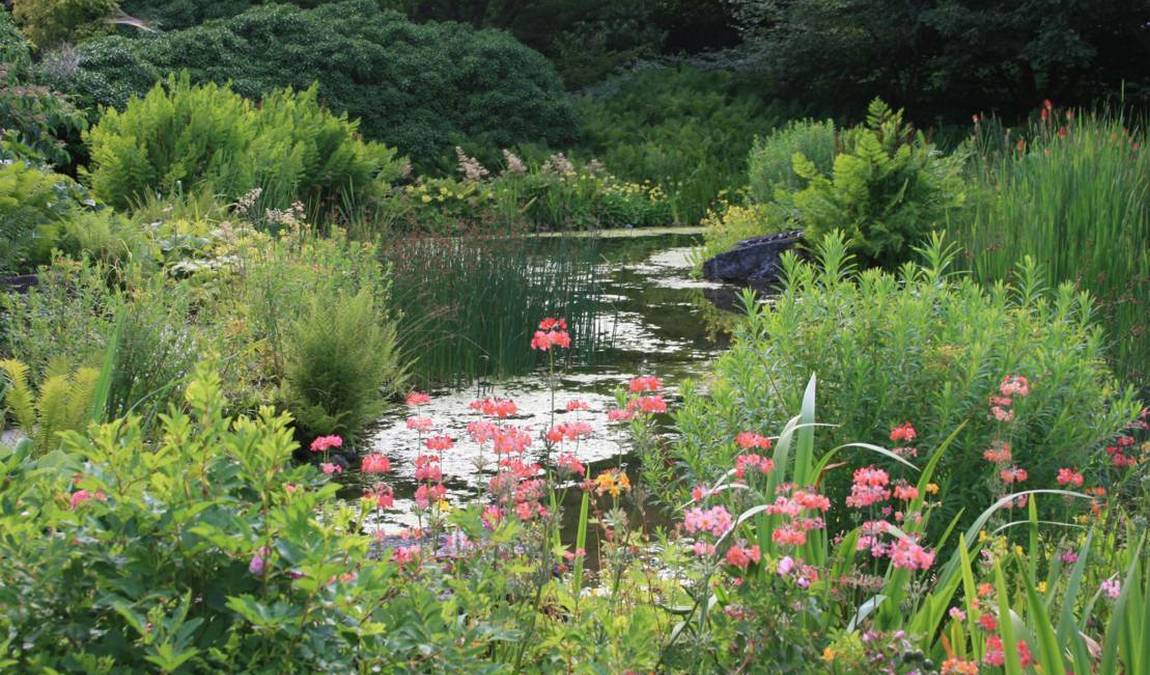 botanical garden berggarten photo 7