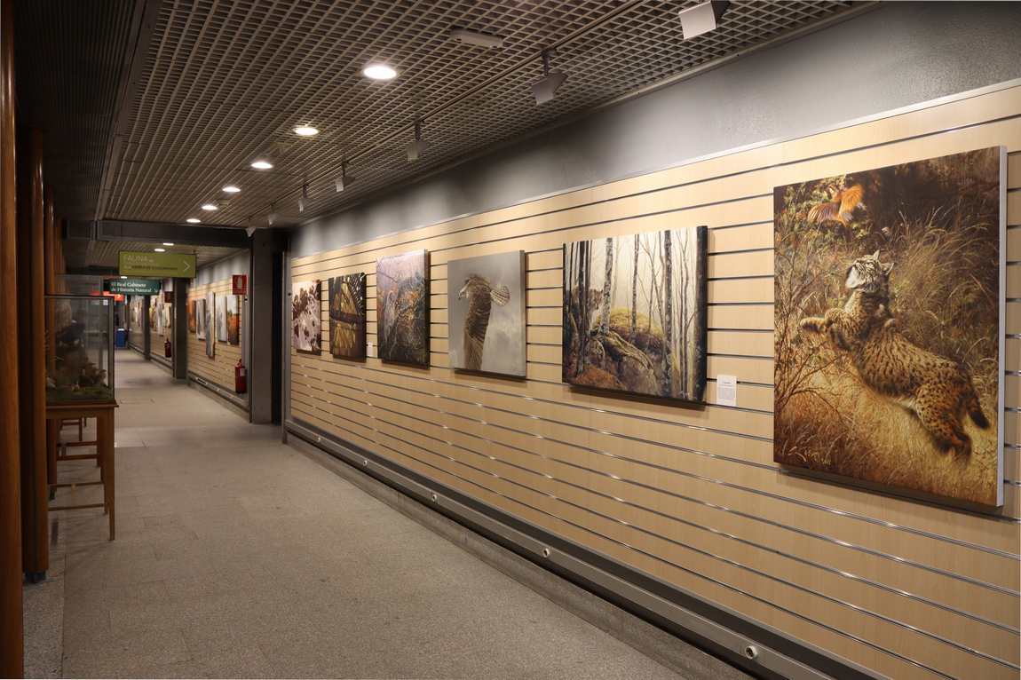 national museum of natural sciences photo 2