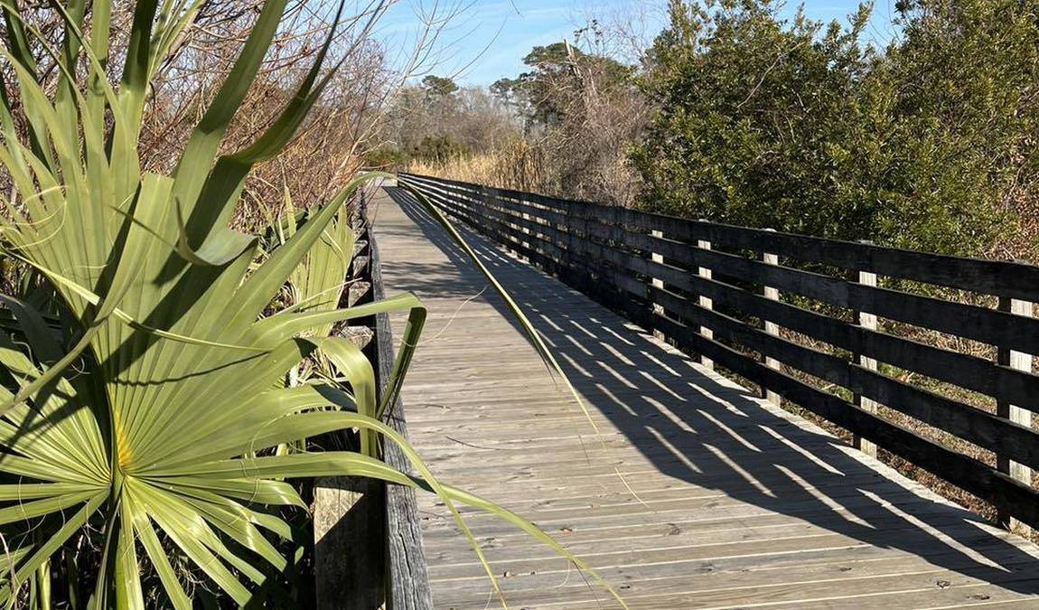 sturgeon city park photo 3