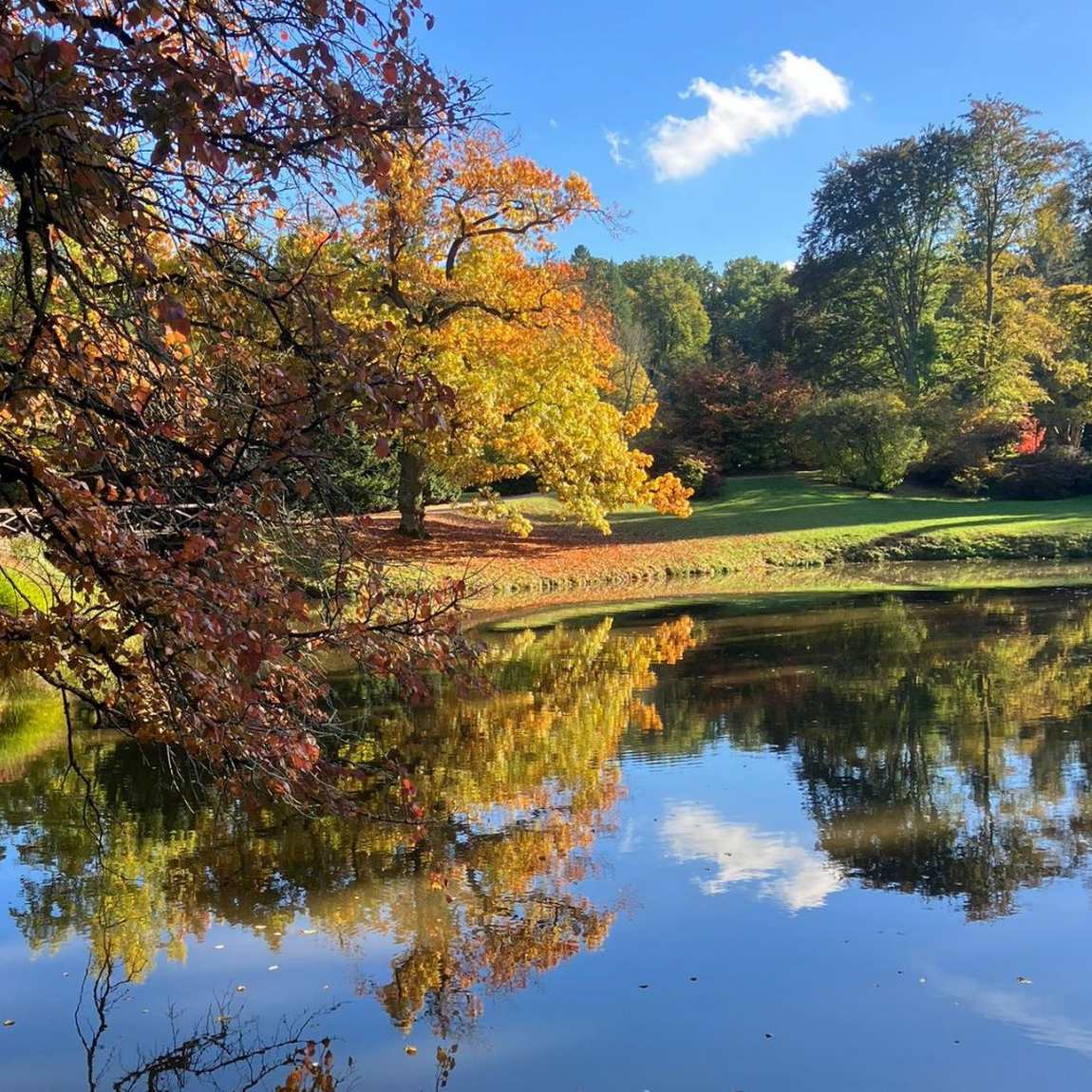 pruhonice park photo 2