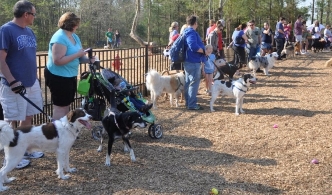 knightdale station park photo 5