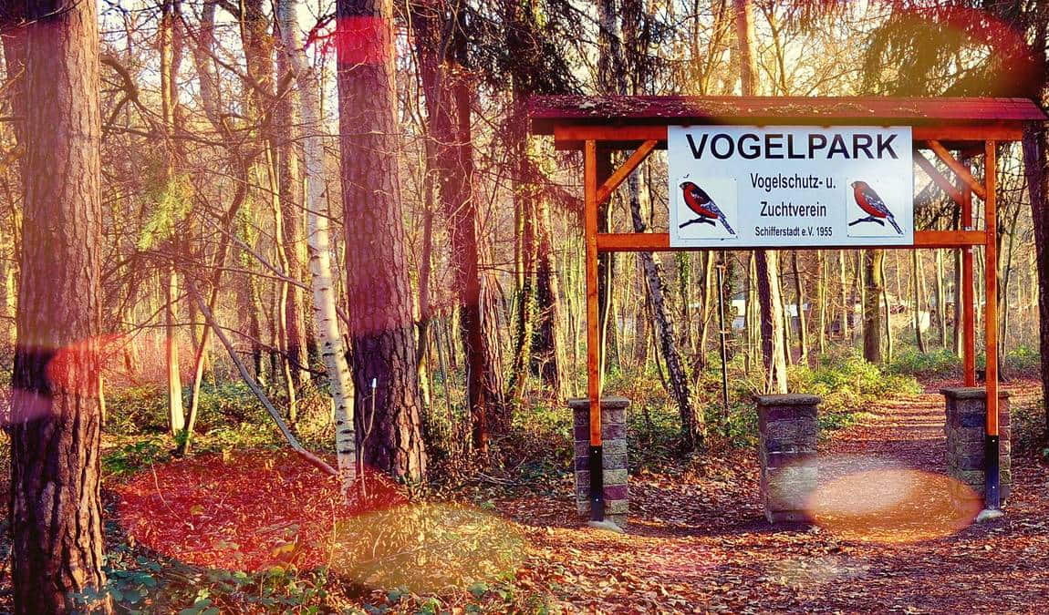 bird park schifferstadt photo 4