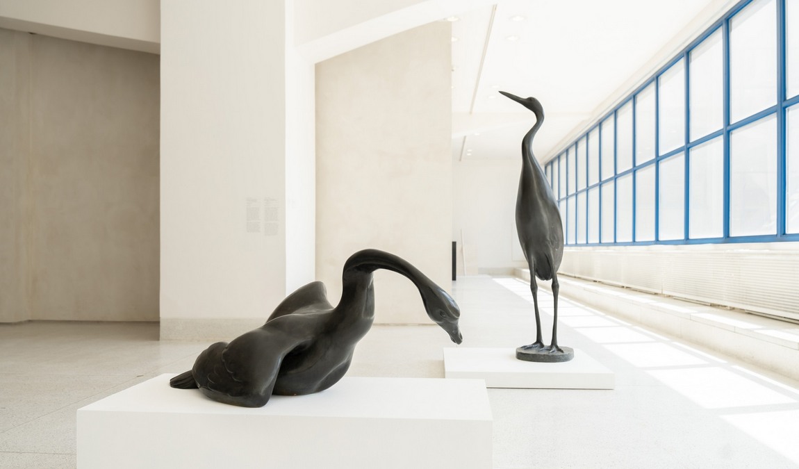 national gallery photo 13