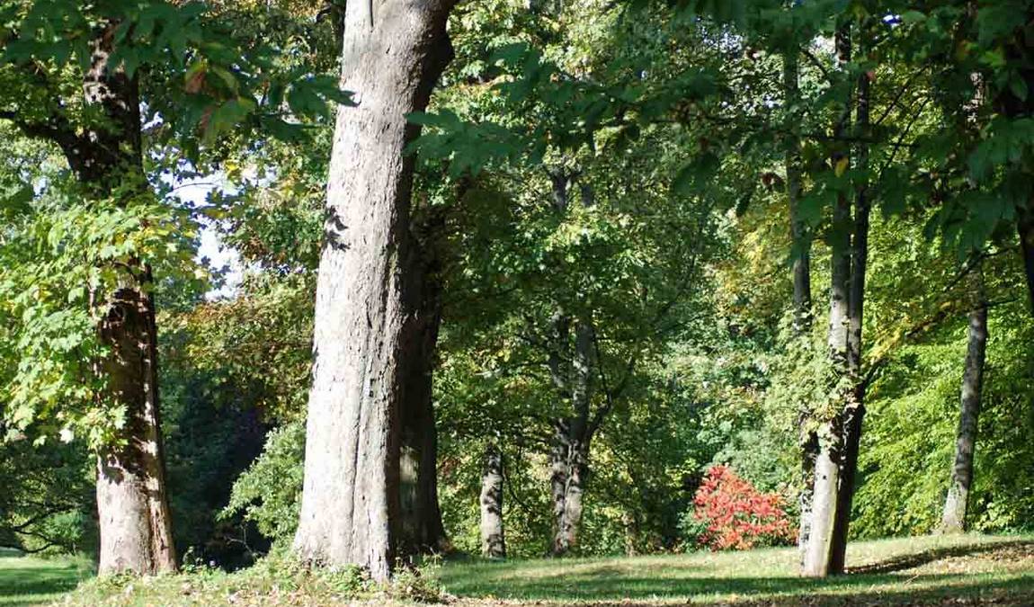 rosenhohe park photo 4