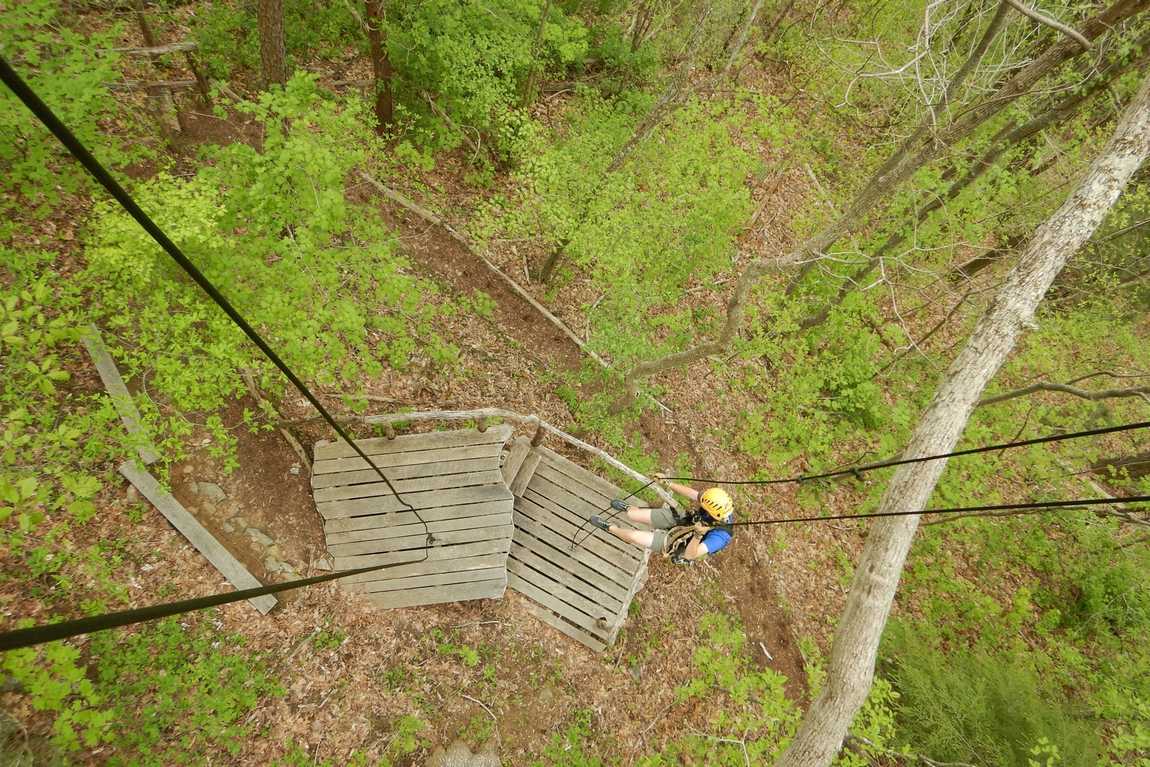 navitat canopy adventures photo 2