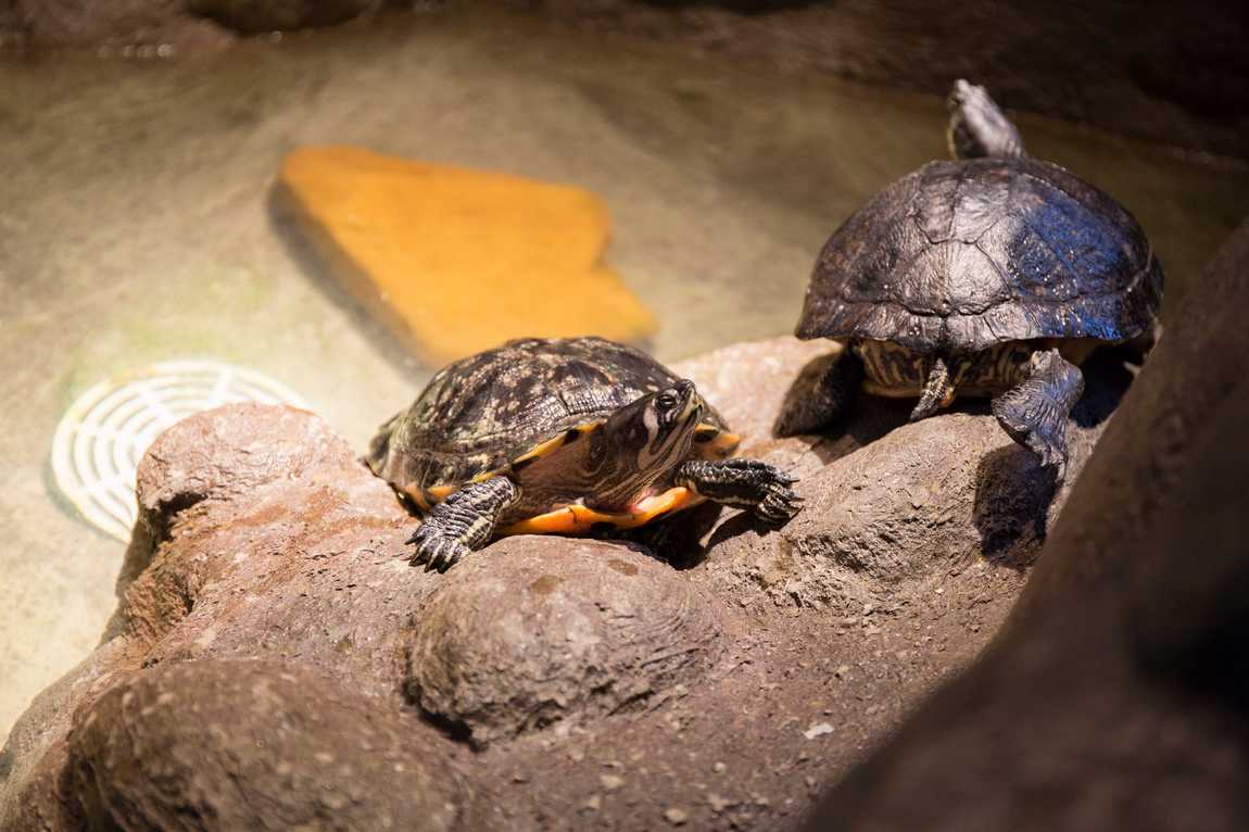 discovery place nature photo 2