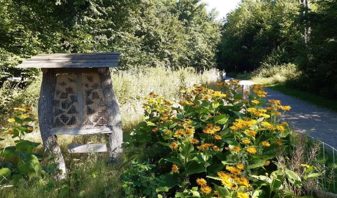 wildpark wiehl photo 5