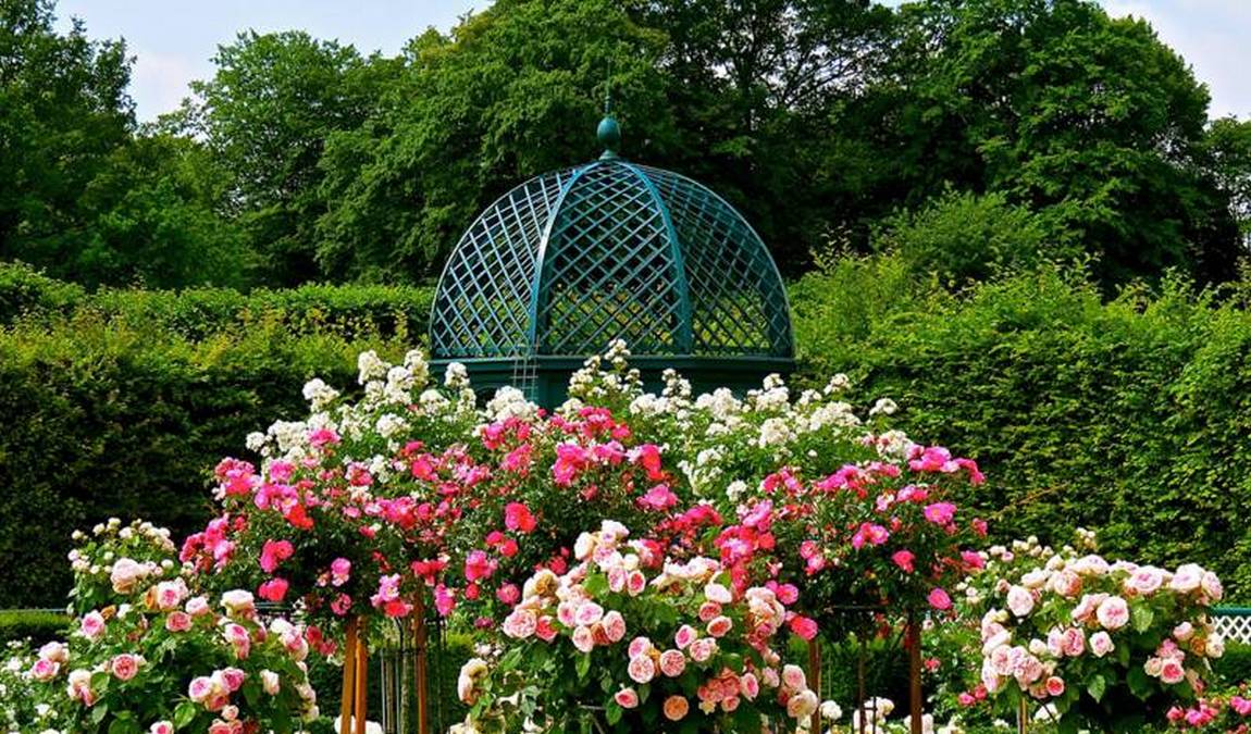 botanical garden berggarten photo 5