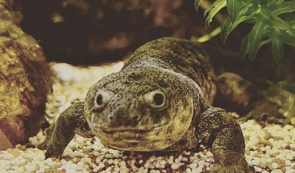 welt der gifte photo 3