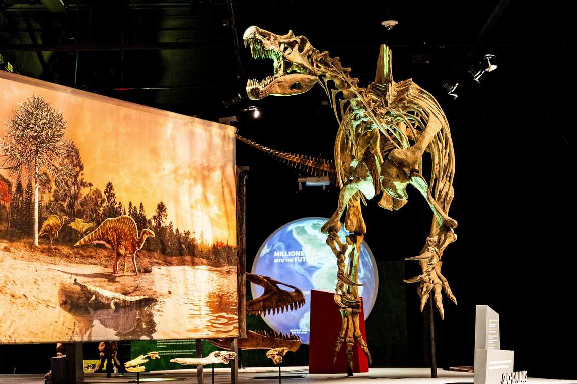 discovery place science photo 1