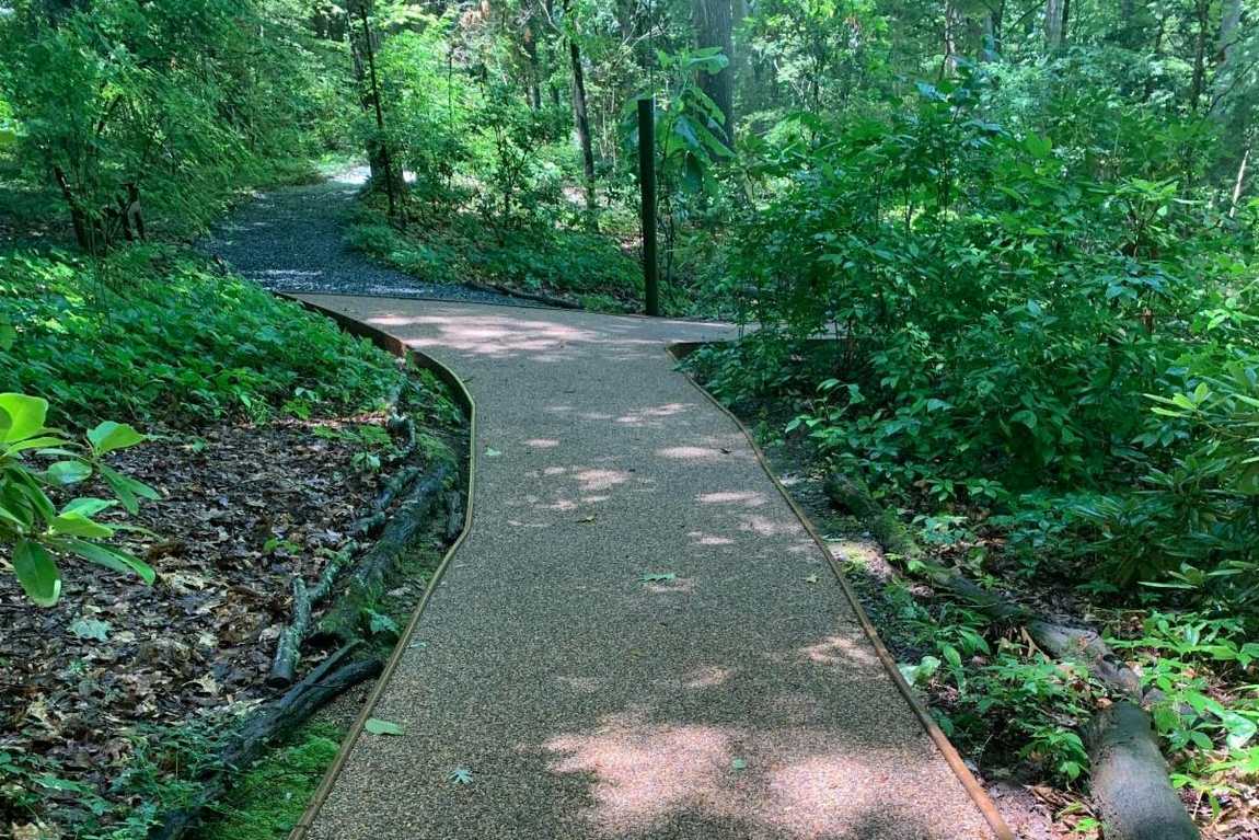 unc charlotte botanical gardens photo 3