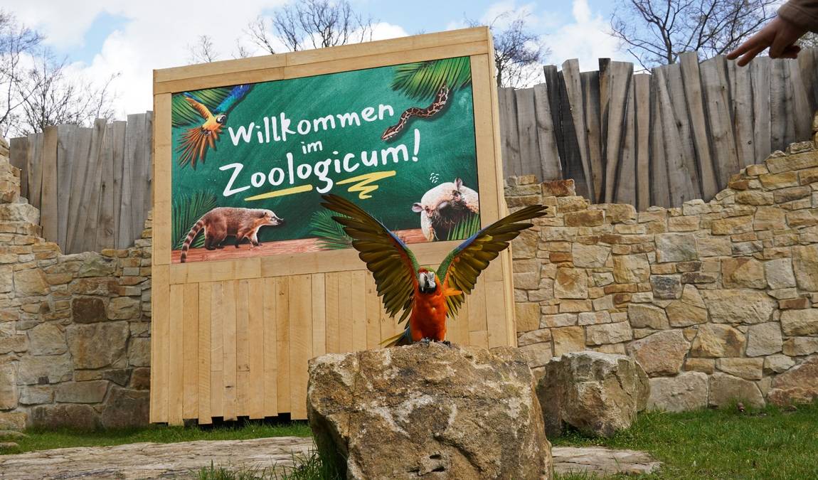 erlebnis zoo hannover photo 1