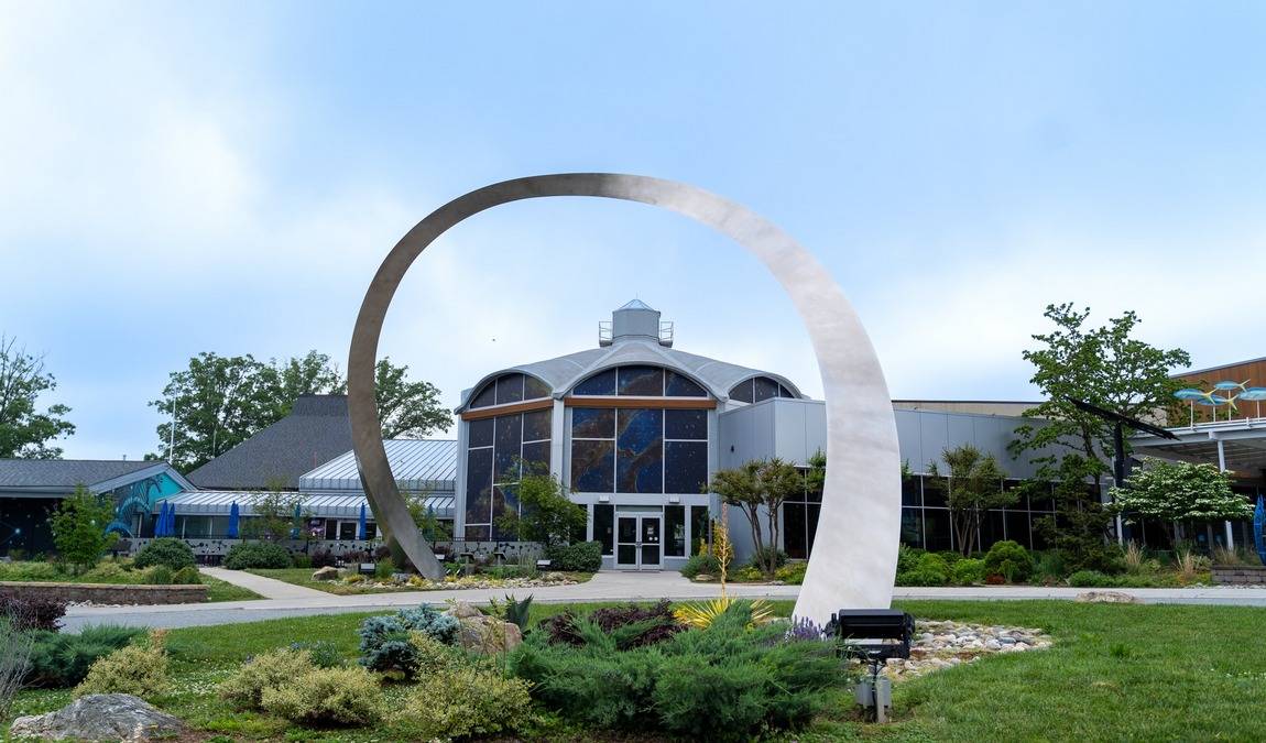 bumper jumpers photo 5