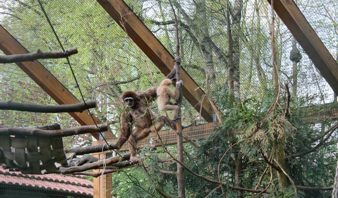 tierpark irgenoed photo 2