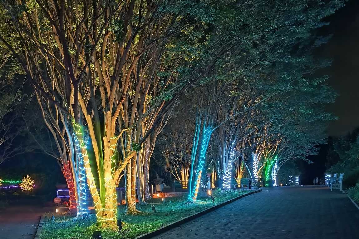 daniel stowe botanical garden photo 2