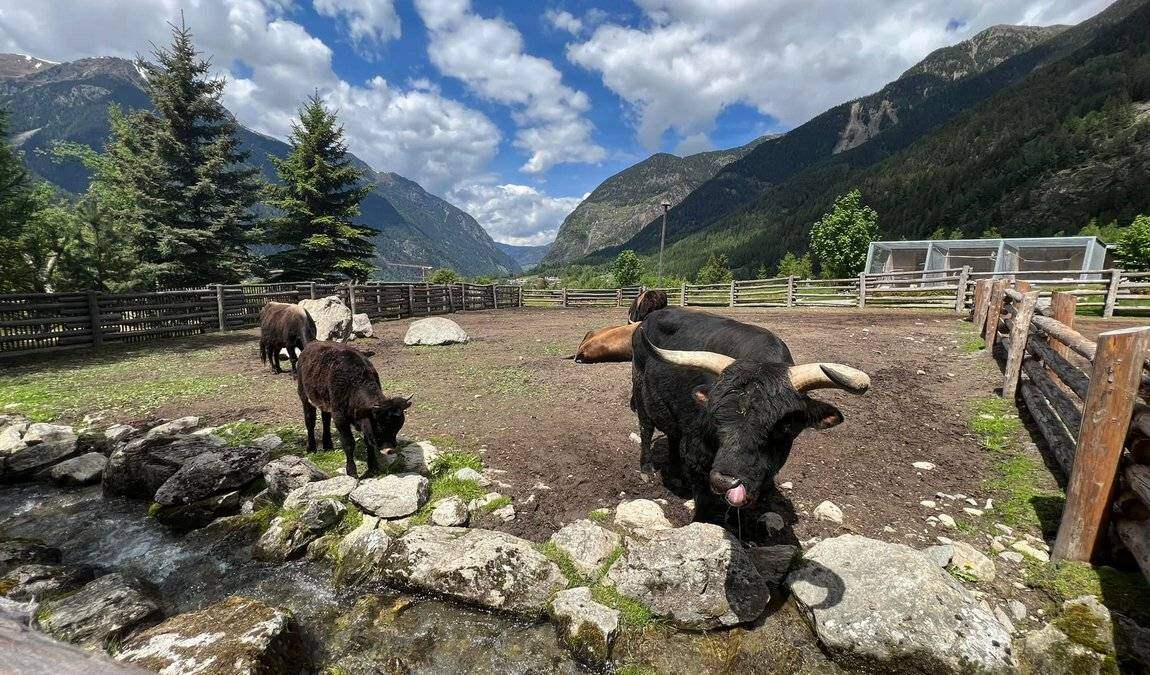 village ettsi photo 1