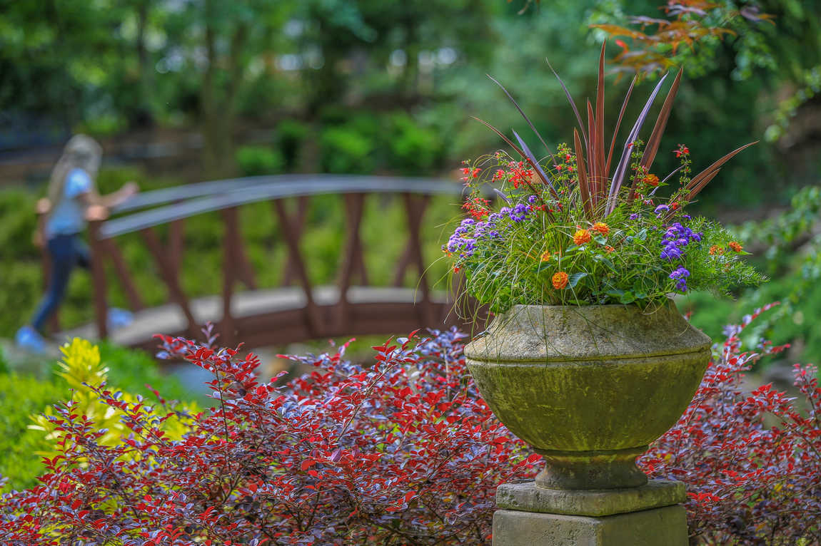 serenity garden photo 5