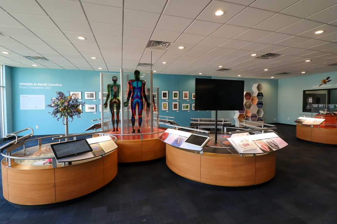 north carolina museum of natural sciences photo 6