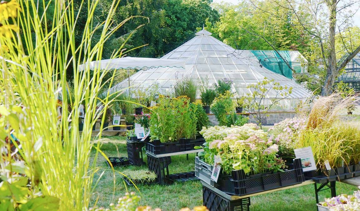 leipzig botanical garden photo 7