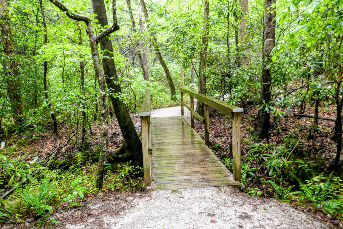 tom's creek falls photo 3