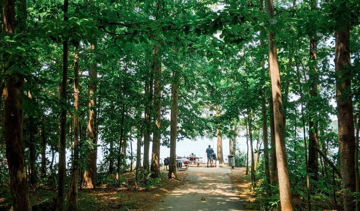 ramsey creek park photo 3