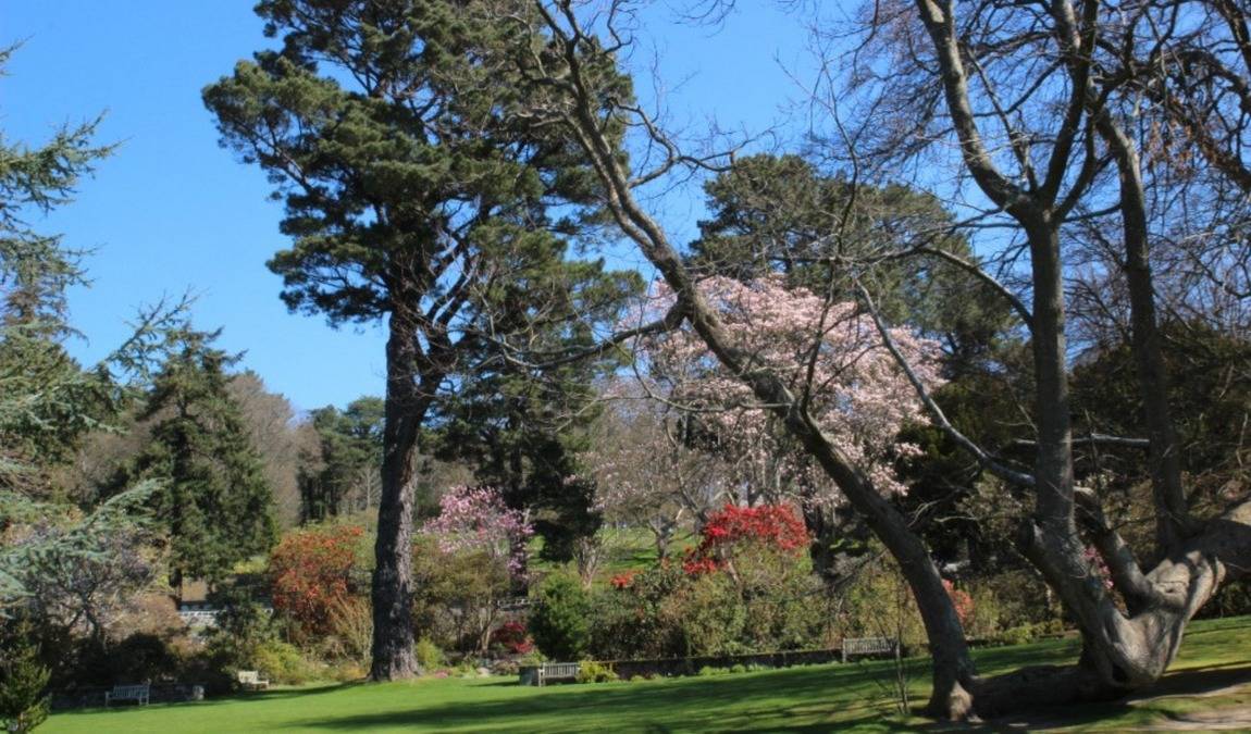 rhododendron park photo 4