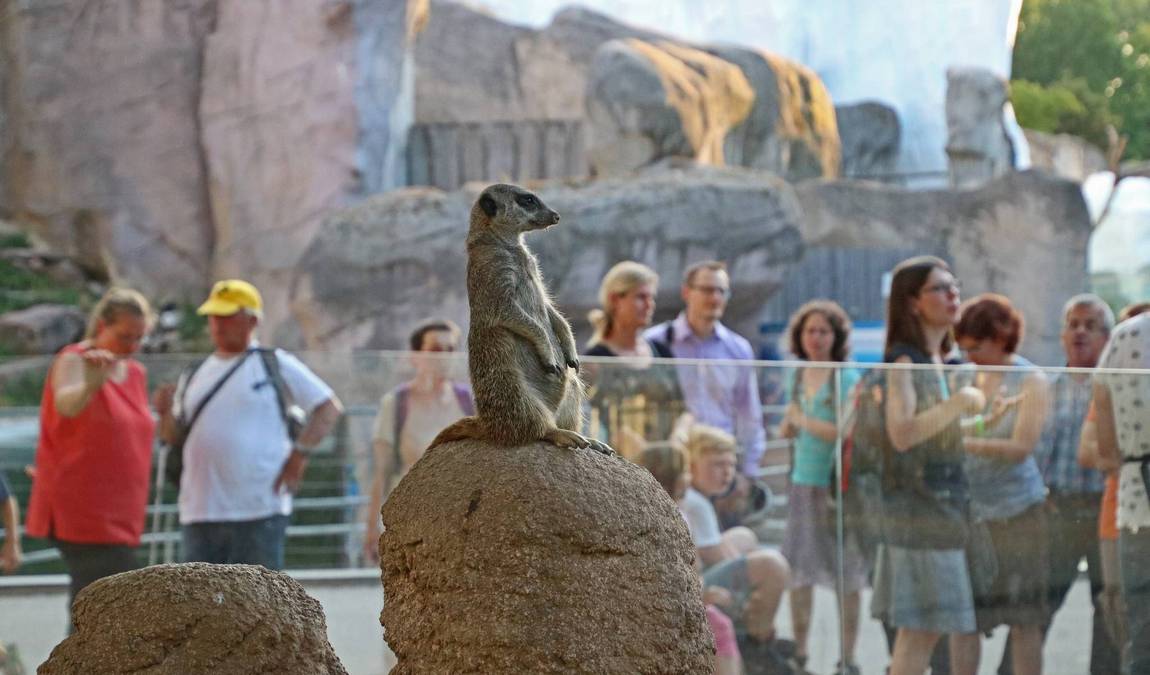 zoological gardens karlsruhe photo 6