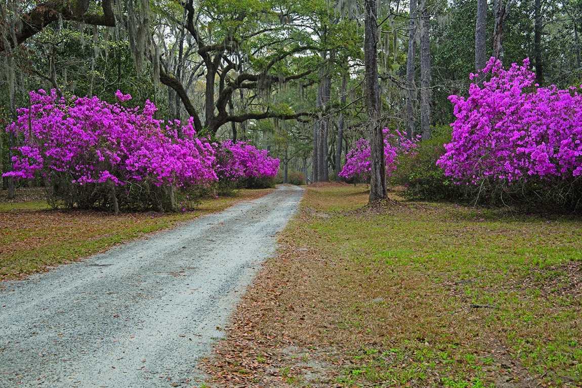 bullington gardens photo 1