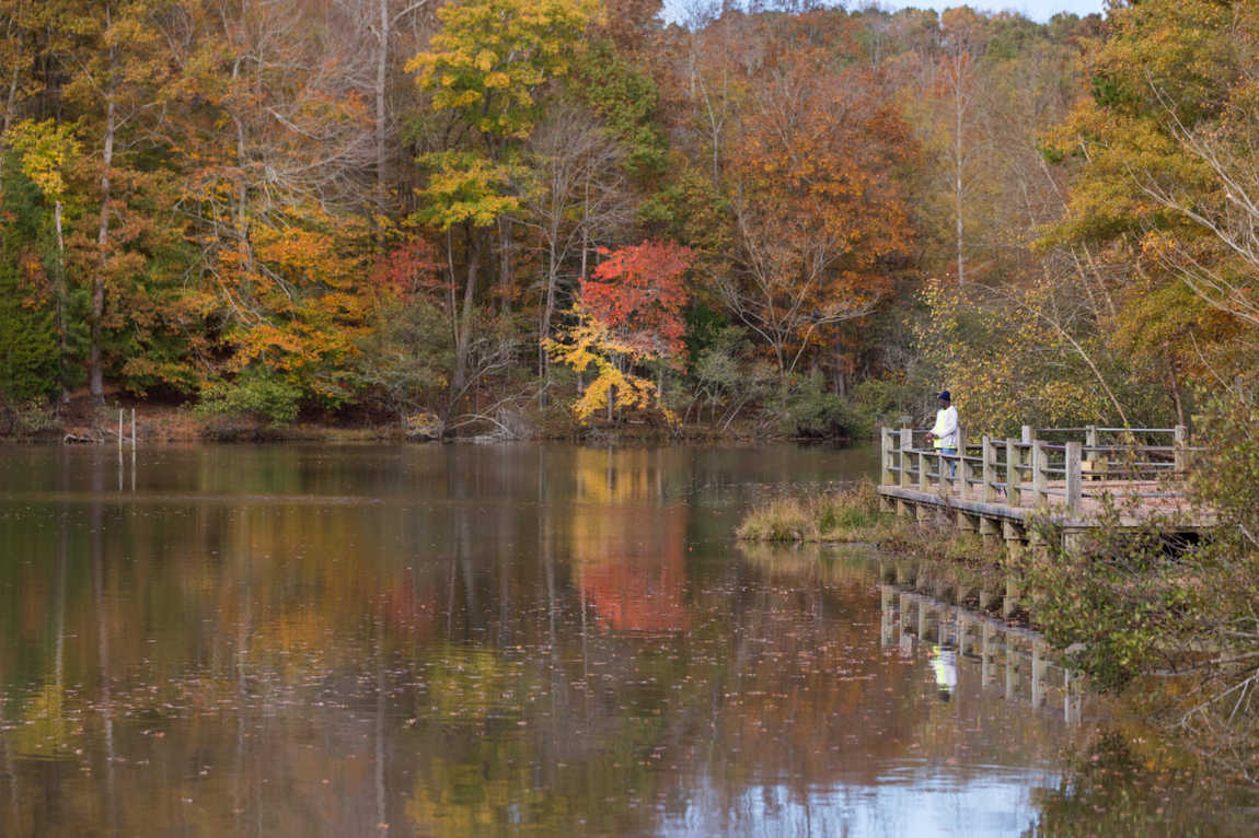 reedy creek nature center photo 5