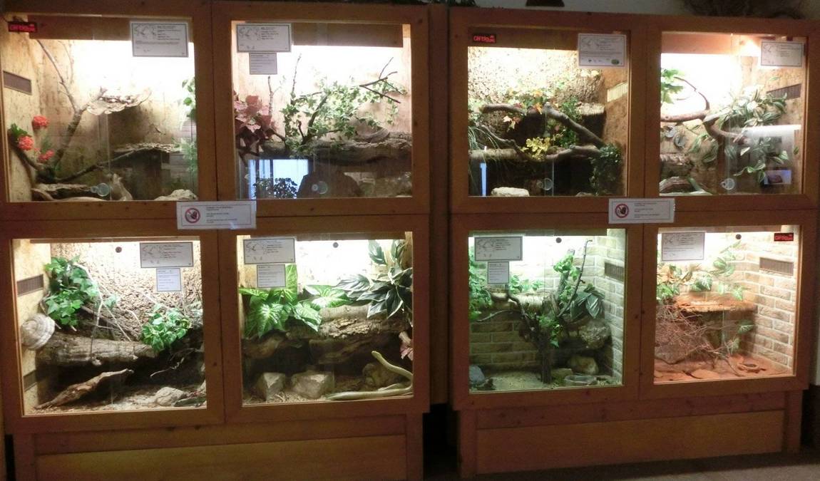 reptilienhaus oberammergau photo 2