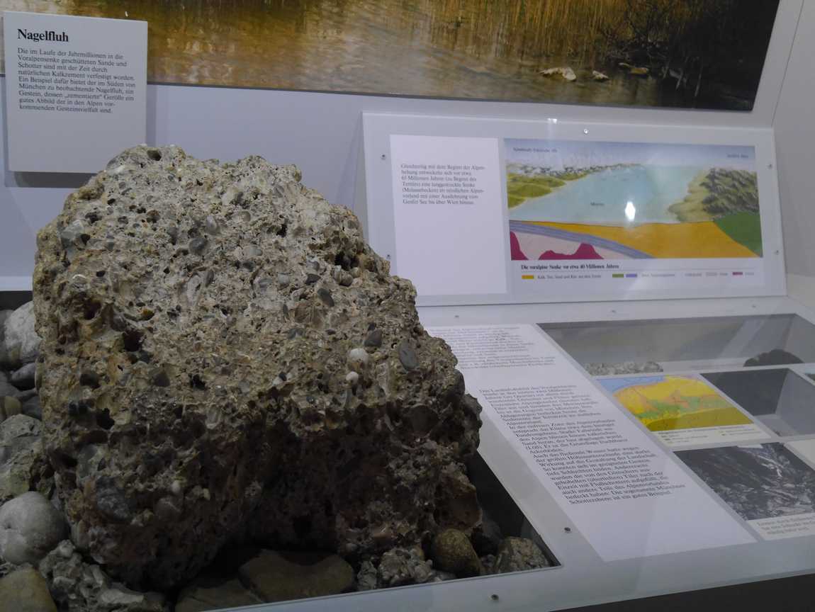 museum of man and nature photo 4