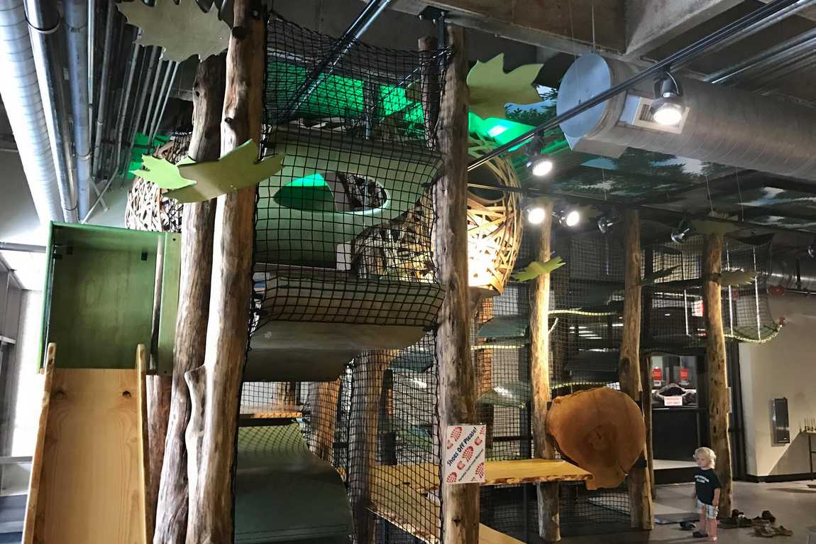 asheville museum of science photo 3