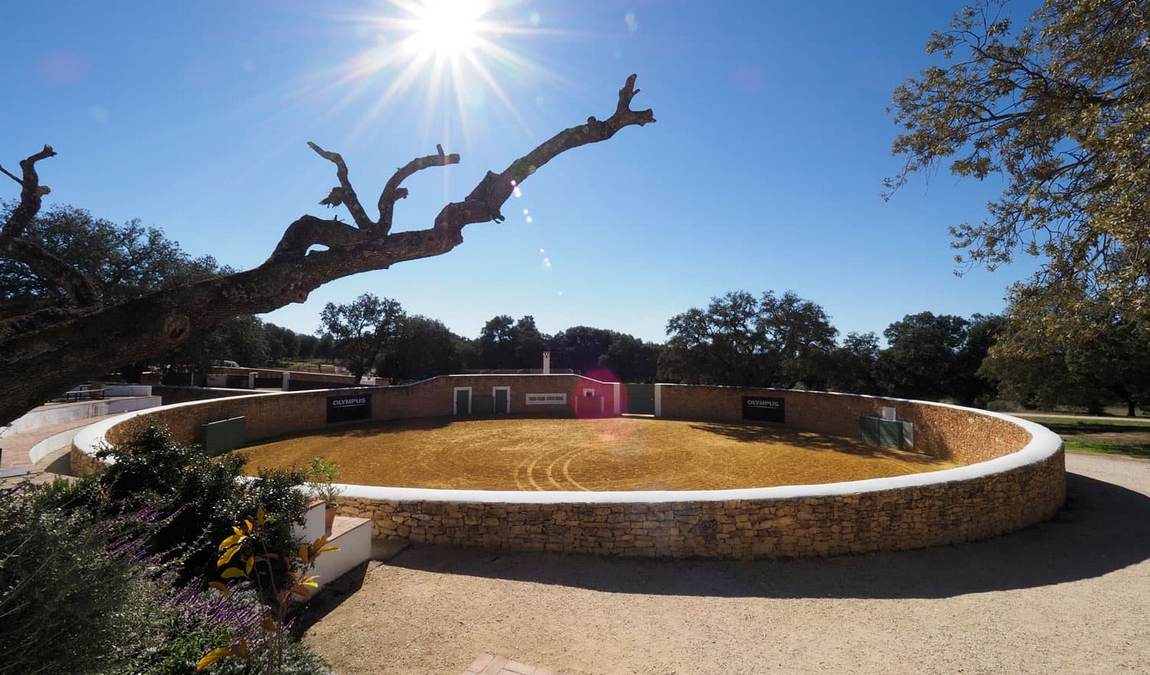 reservatauro ronda photo 2