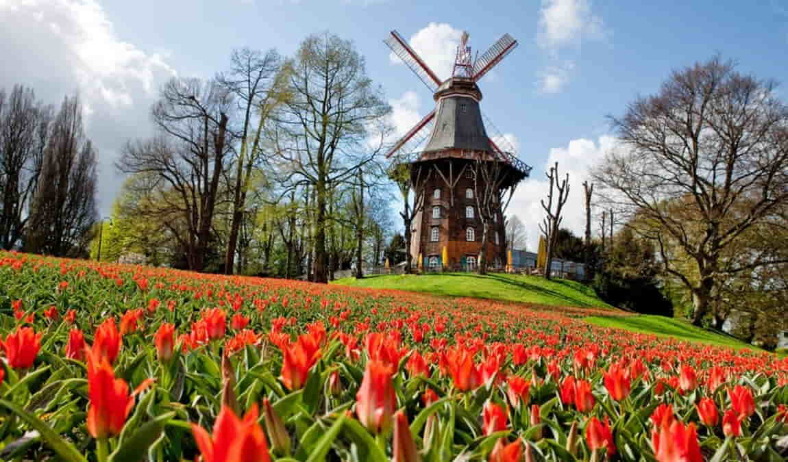 wallanlagen park photo 7