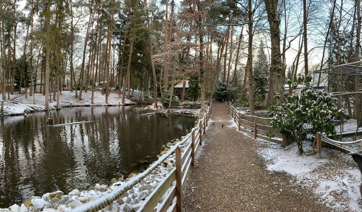 abensberg bird park photo 2