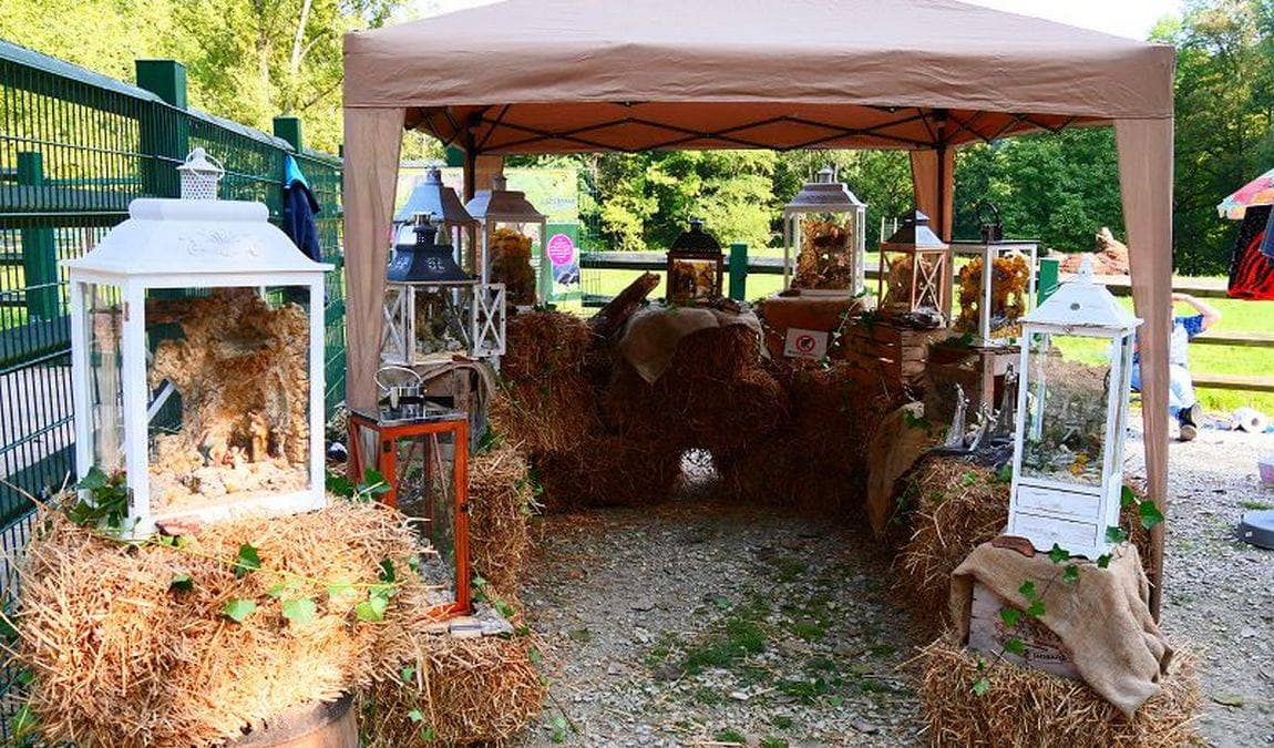 wildpark hundshaupten photo 6