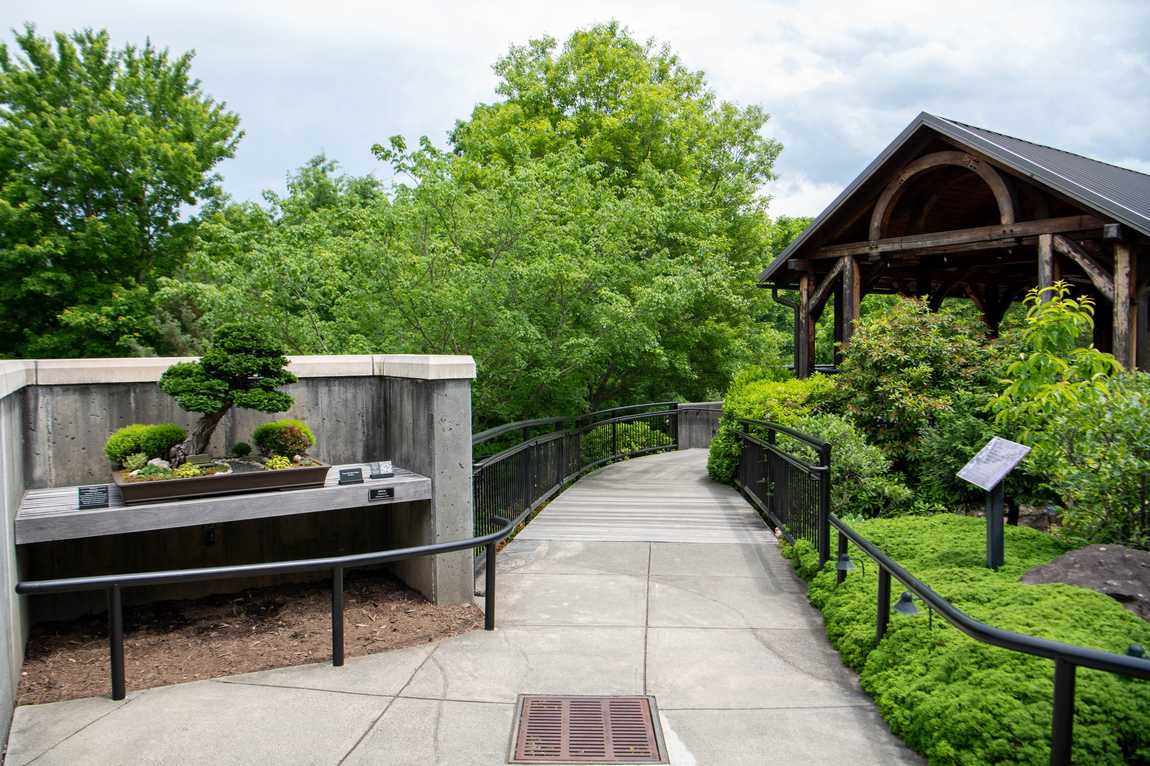 the north carolina arboretum photo 4