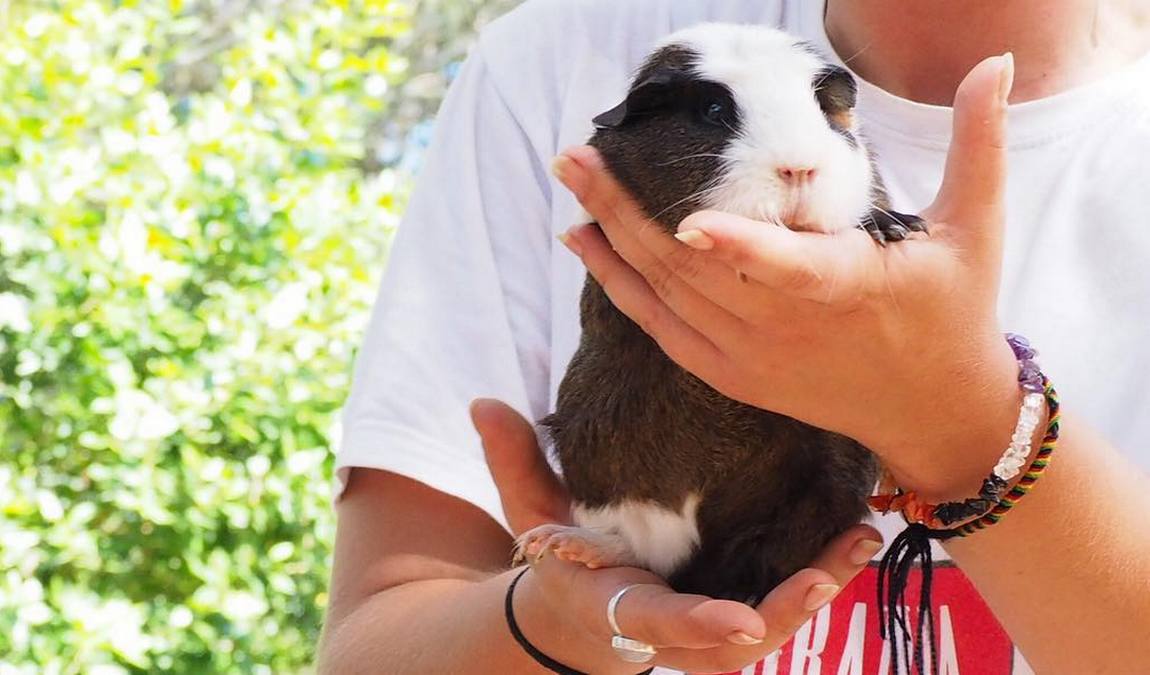 granja aventura park photo 3