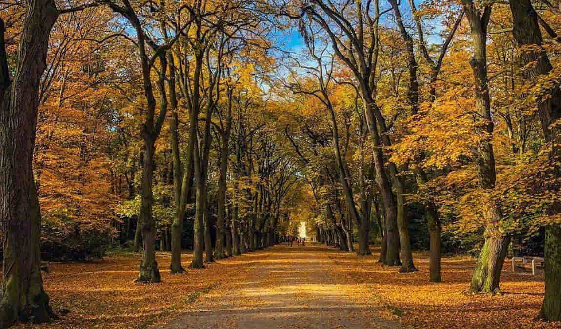 obora hvezda photo 4