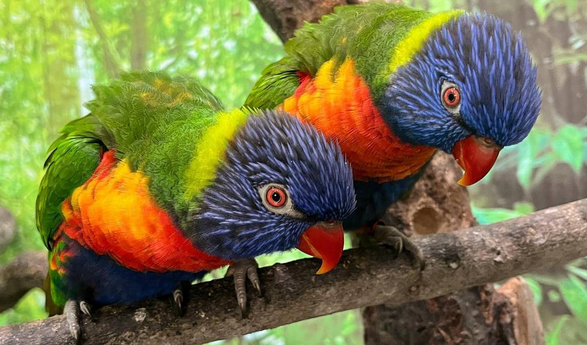 la granja de los cuentos photo 1