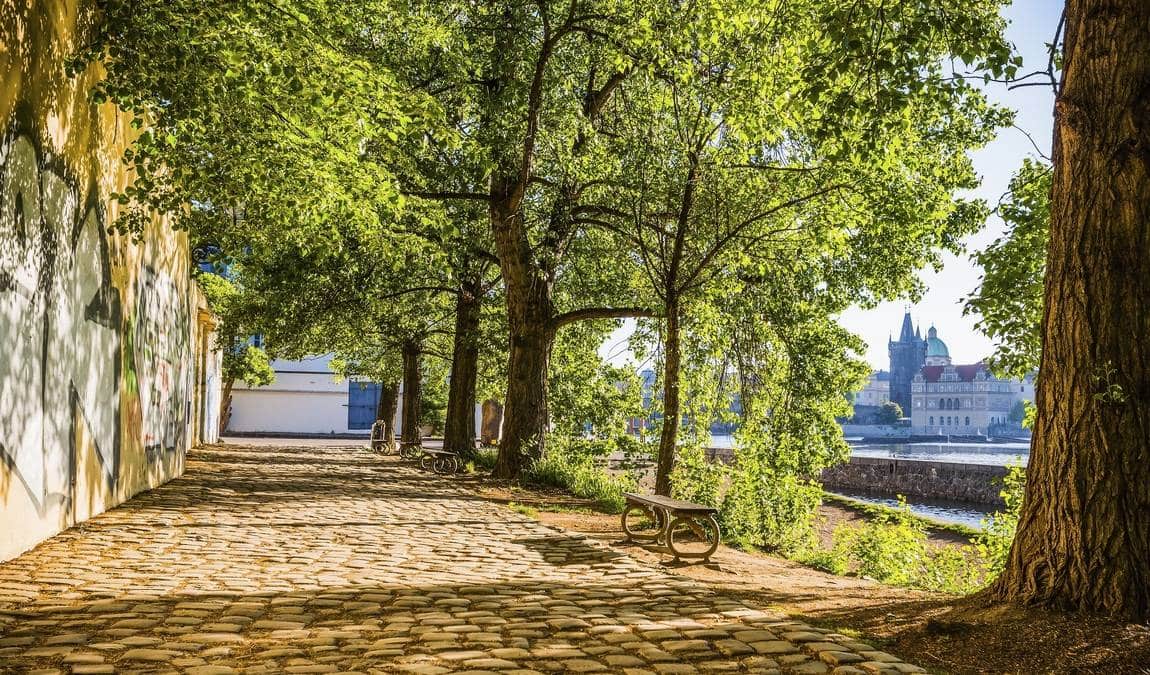 kampa island photo 1