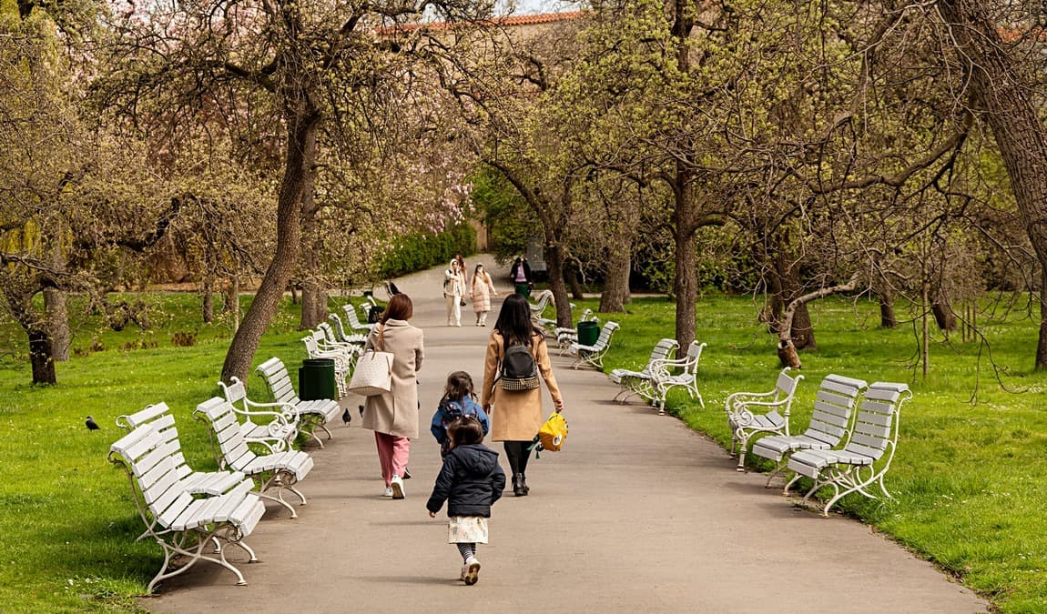 vojan gardens photo 3