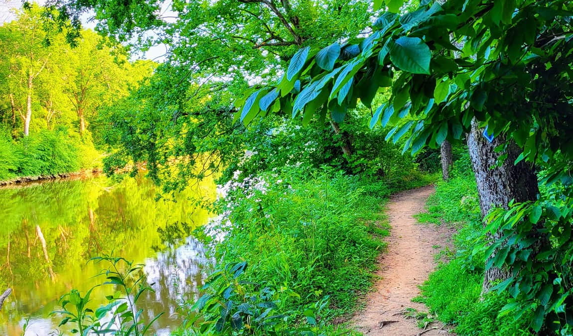 swepsonville river park photo 2