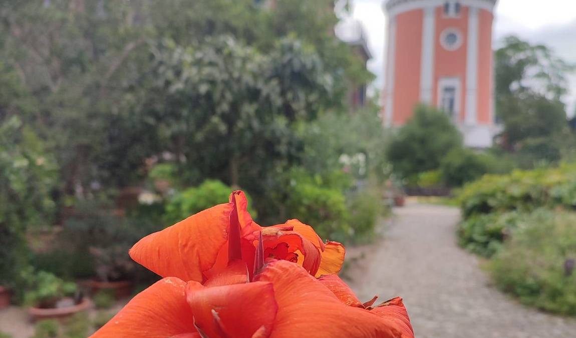 botanical garden photo 6