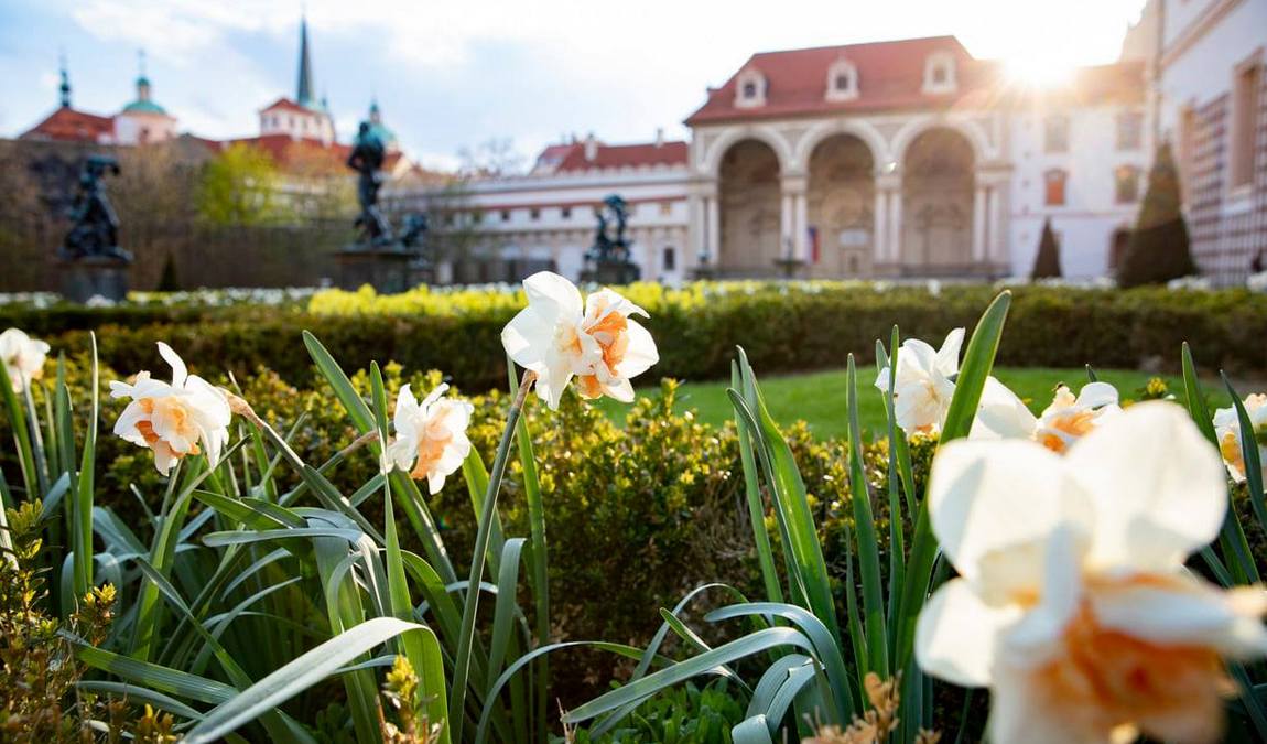 wallenstein palace photo 16